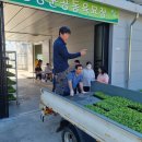 단양군 농업기술센터 이미지