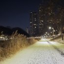 눈내린 양재천 주로(走路) 걸어[뜀꾼] 이미지