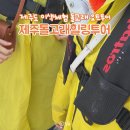 제주도 이색체험 놀거리 돌고래 스팟을 찾아서 여행 &#34;제주돌고래힐링투어&#34; 실패 후기