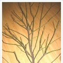 나무한그루 이미지