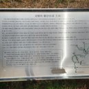 산청 전 구형왕릉 | [경남 산청] 가볼만한 곳 동방의 피라미드 가야국 마지막 왕릉 <산청 전 구형왕릉>