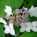 해주여관 이미지