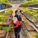 삼은경로당 이미지