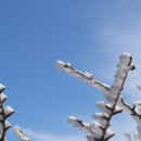 풍경소리2 이미지