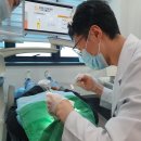불당드림치과의원 네이버블로그