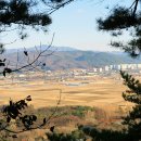보리사 - 1665 | 보리사