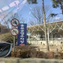 W 종로 예물 결혼반지 3부 다이아 에스엠듀(SMdew)