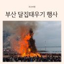 큰소망어린이집 | 2025 부산 정월대보름 행사 광안리 달집태우기 40개월 아기와 방문 후기