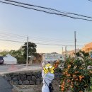 삼춘네 하우스 이미지