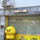 라비드무드 이미지