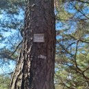 응봉공원3 이미지