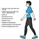 정형외과 의사가 말하는 '운동의 원칙' 그리고 기억해야 할 7가지 원칙 이미지