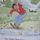 The Duck Race 이미지