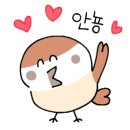 햄스테라