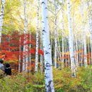 하얀도화지 이미지