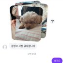 하가흥  다기능회관 | 여름이 아니라 초록이면 좋겠어