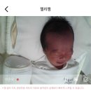 아이젤 | 은평구 아이젤 산후조리원 내돈내산 2주 후기
