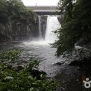 천제연폭포 이미지