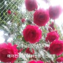 신용세탁소 이미지