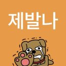 디어올리 | 2025년 부산국제록페스티벌 부락 첫 출마 후기