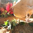 당포농장 이미지