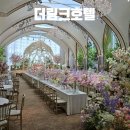 비토루스 네이버블로그