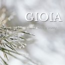 종로-신교-종로-신-312 | 종로 가성비 디자이너 웨딩밴드 '조이아 주얼리' 수령 후기(내돈내산!)