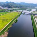 금호강8 이미지