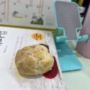 아기 크린이 옙 _ (6/28.금 ~ 6/29.토)