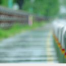 우두강둑길 이미지