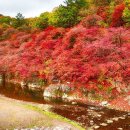 강원도 철암 이미지