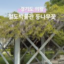 의왕시민햇빛발전소1호 | 경기도 등나무꽃 명소 의왕 철도박물관 25.05.06 실시간 (주차 요금, 입장료, 예약) 의왕 가볼만한곳