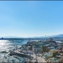 블루웨일 이미지