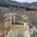 이충 레포츠내부도로 | 거창 산림레포츠파크 트리탑 &amp; 손전망대/ 거창여행 거창가볼만한곳 거창포토존