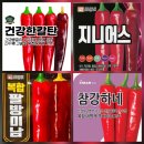 2026년 고추모종 외 모종 판매해요. 이미지