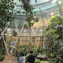 판교환경생태학습원 | 판교 아이랑 갈만한 곳, 현대어린이책미술관과 판교 환경생태학습원 다녀온 하루