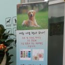 행복드림 동물병원 이미지