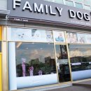 패밀리독 이미지