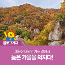 온양읍 운화리 대운산 진입도로(대운상대길) 편면 | 대운산 내원암 가는 길에서 늦은 가을을 외치다!