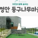 둥구나무민박 이미지