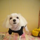 성내짜장 이미지