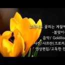 꽃피는계절