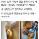 도너츠세상 이미지