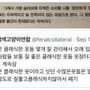 지브이시스템 이미지