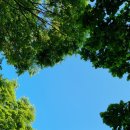 골목안채 이미지