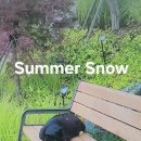 Summer Snow 이미지