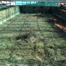 인천경서동녹청자요지 이미지