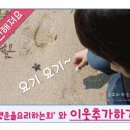 강릉 정동진 탑스빌 오션뷰 스테이펜션 이미지