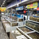 사천만수산물백화점 네이버블로그