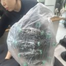 정은미미용실 | 숨겨온 곱슬 완벽교정, 손질 편한 레이어드 S컬펌